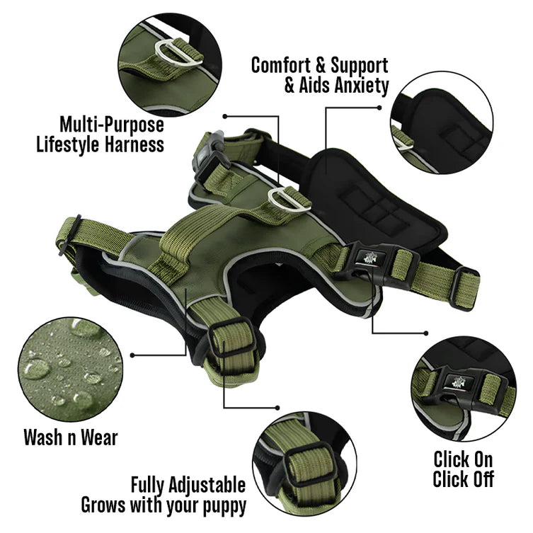 Active-X Dog Harness Green