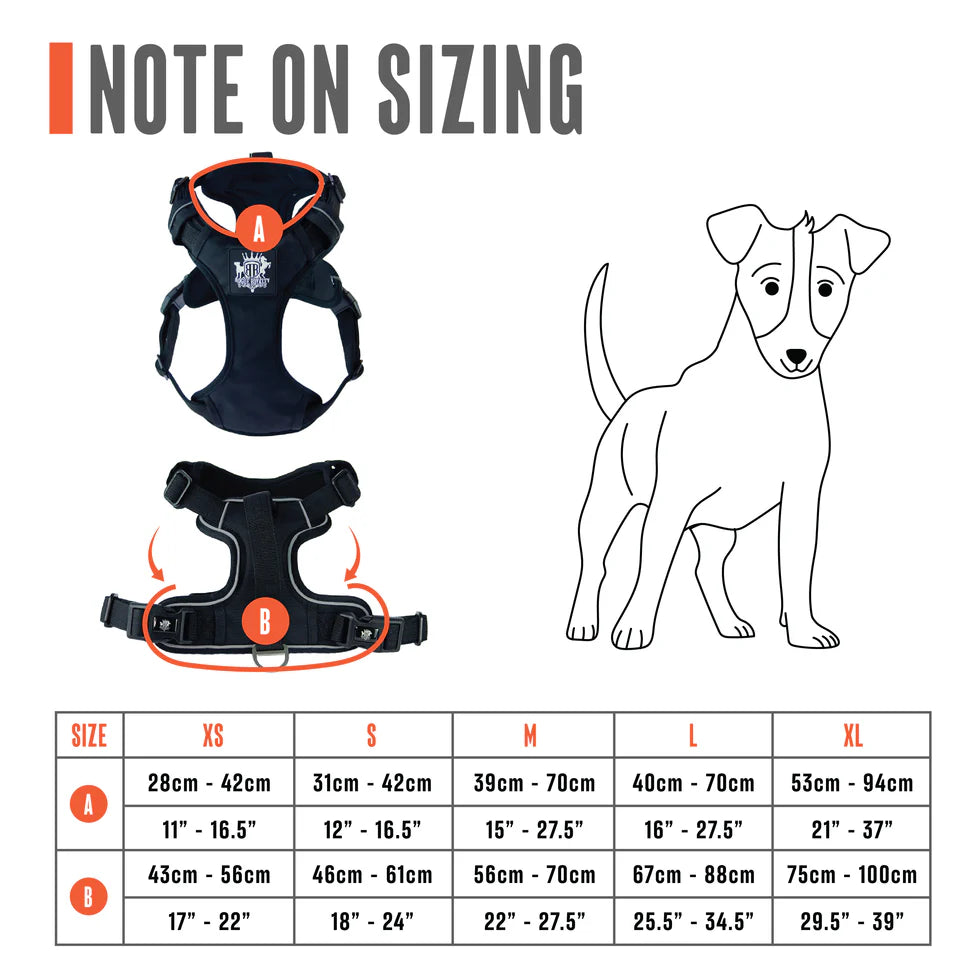 Active-X Dog Harness Green