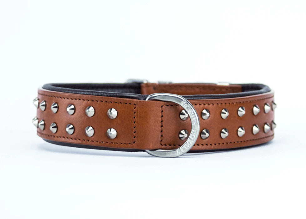 Ruffneck Regular fit Dog Collar- Brown / Chrome
