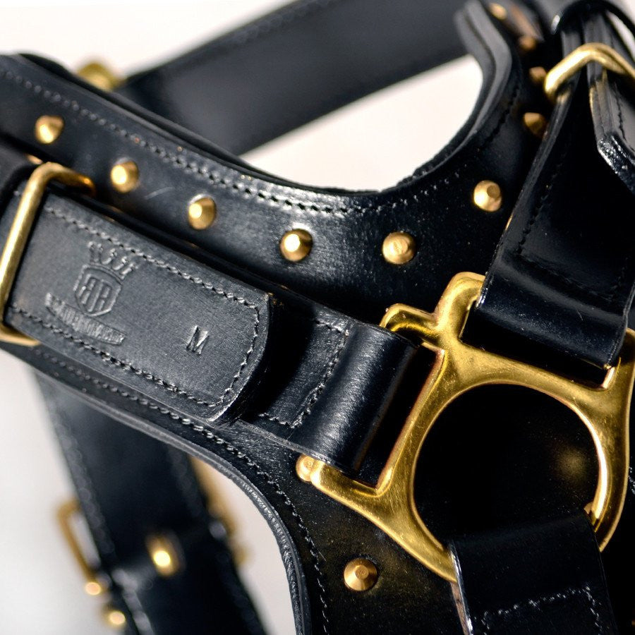 Dog Harness - Leather "Attila" Black/Brass