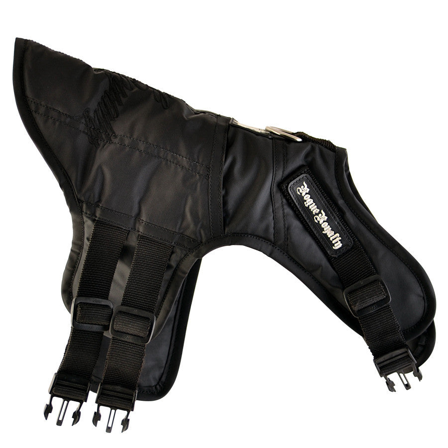 Rogue Active Dog Jacket - Black