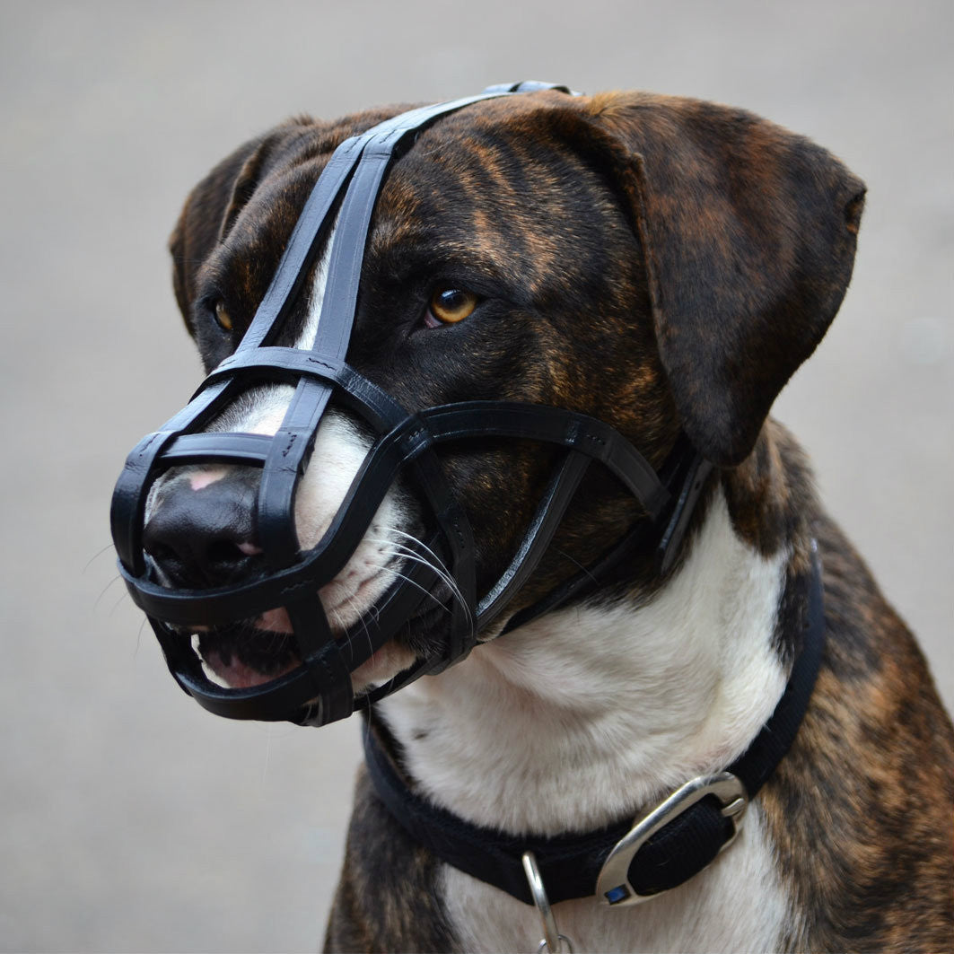 Muzzle - Leather Basket
