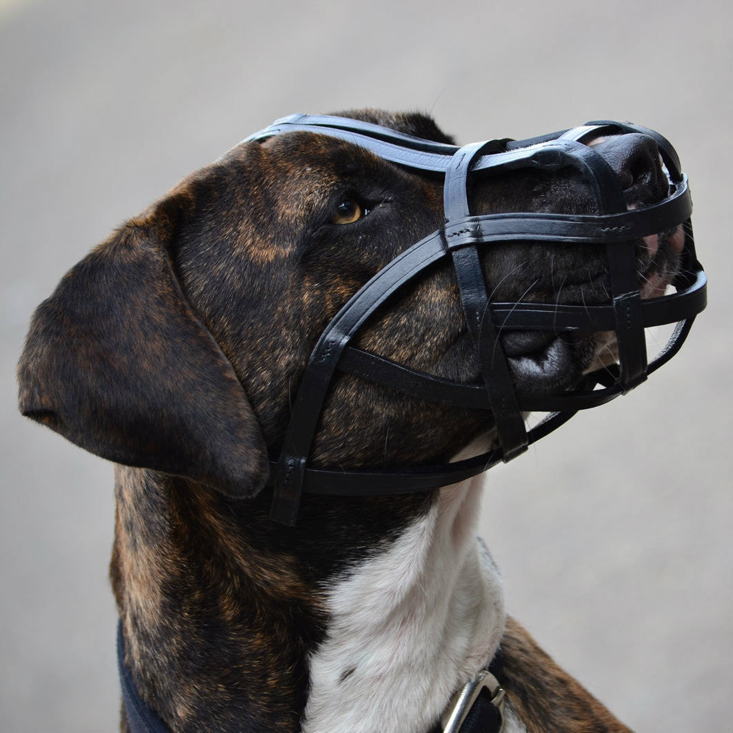 Muzzle - Leather Basket