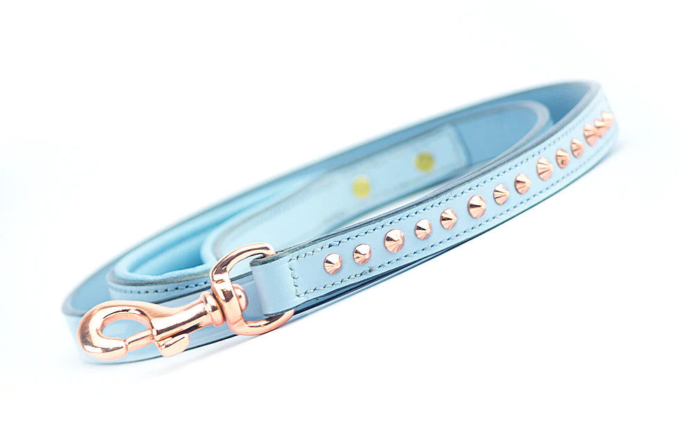 Dog Leash - Imperial Baby Blue Rose Gold