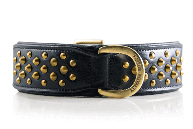 Black & Brass Leather Dog Collar - Rogue "RuffNeck"