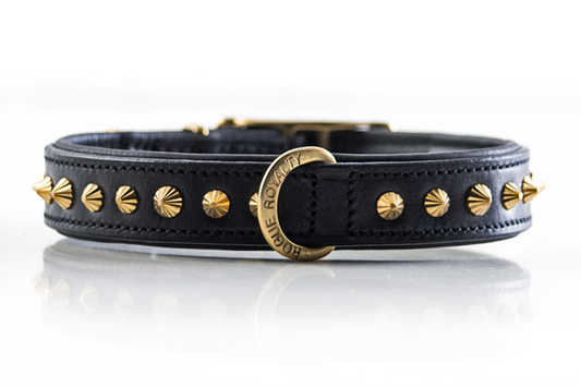 Dog Collar - Ruthless Black & Brass Slimfit