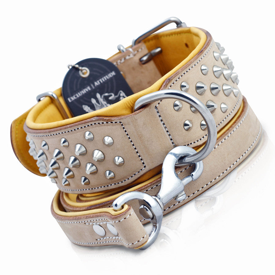 Buckskin leather and dog collar combo
