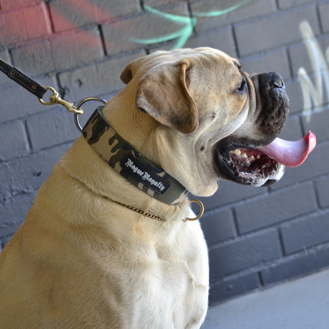 Strong heavy duty Militia Camougflage dog collars