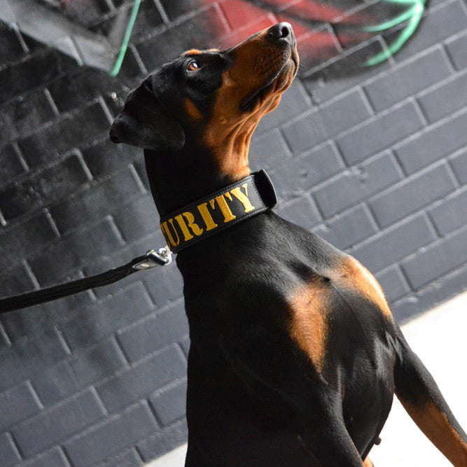 Dog Collar - SUPATUFF® SECURITY