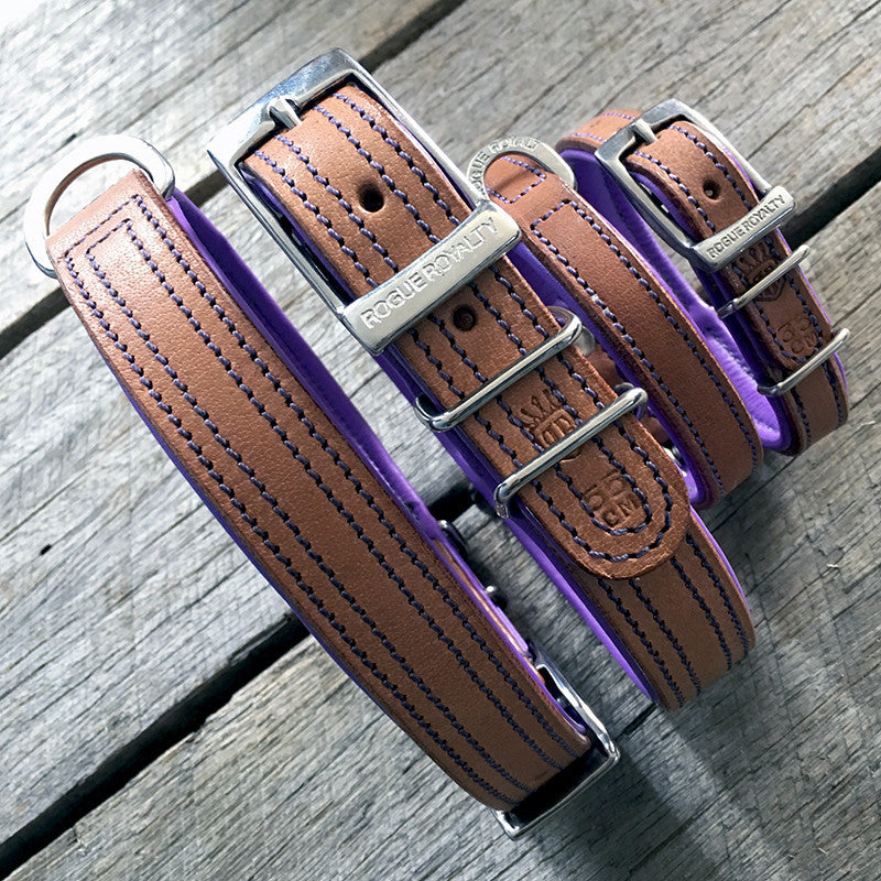 Dog Collar - Tuscan Rogue Tan|Purple NO EXCHANGE ITEMS