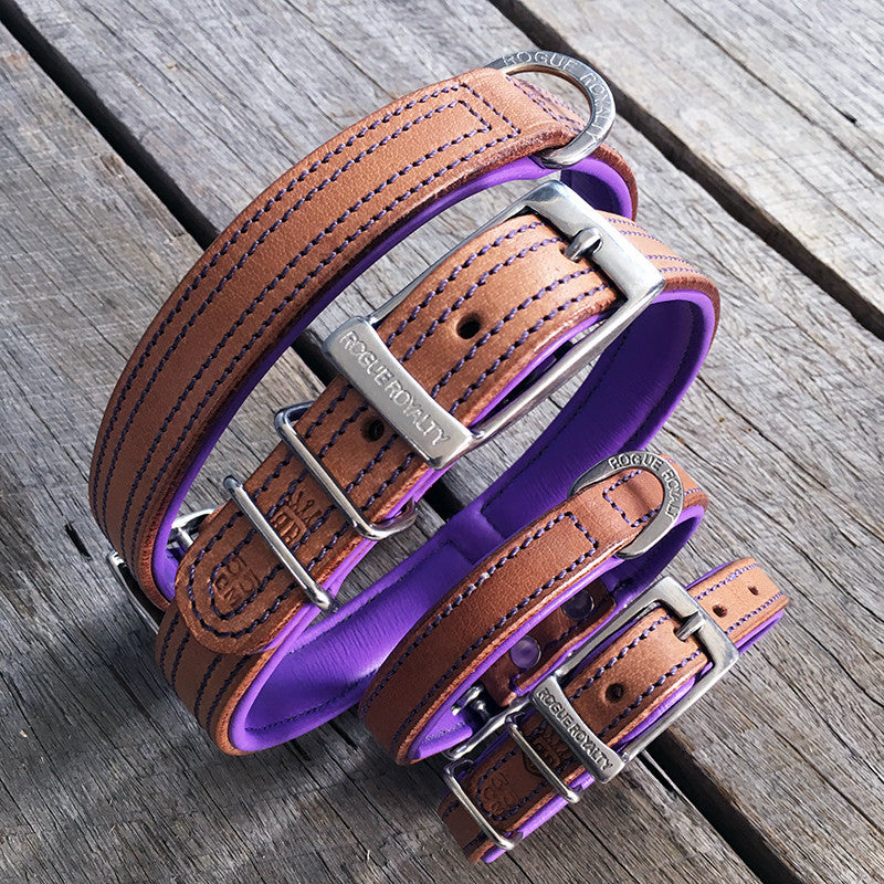 Dog Collar - Tuscan Rogue Tan|Purple NO EXCHANGE ITEMS