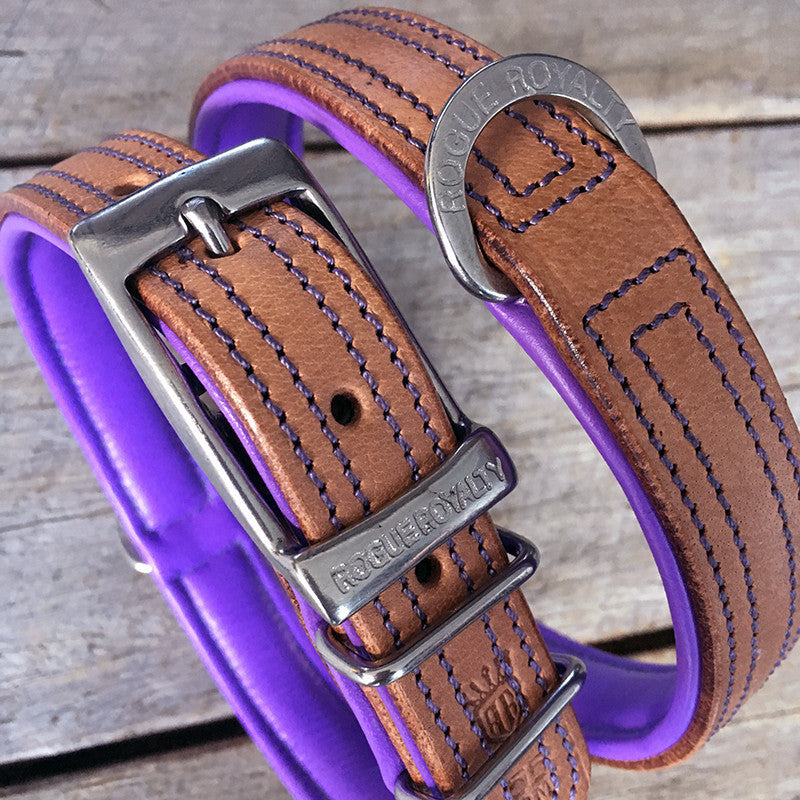 Dog Collar - Tuscan Rogue Tan|Purple NO EXCHANGE ITEMS