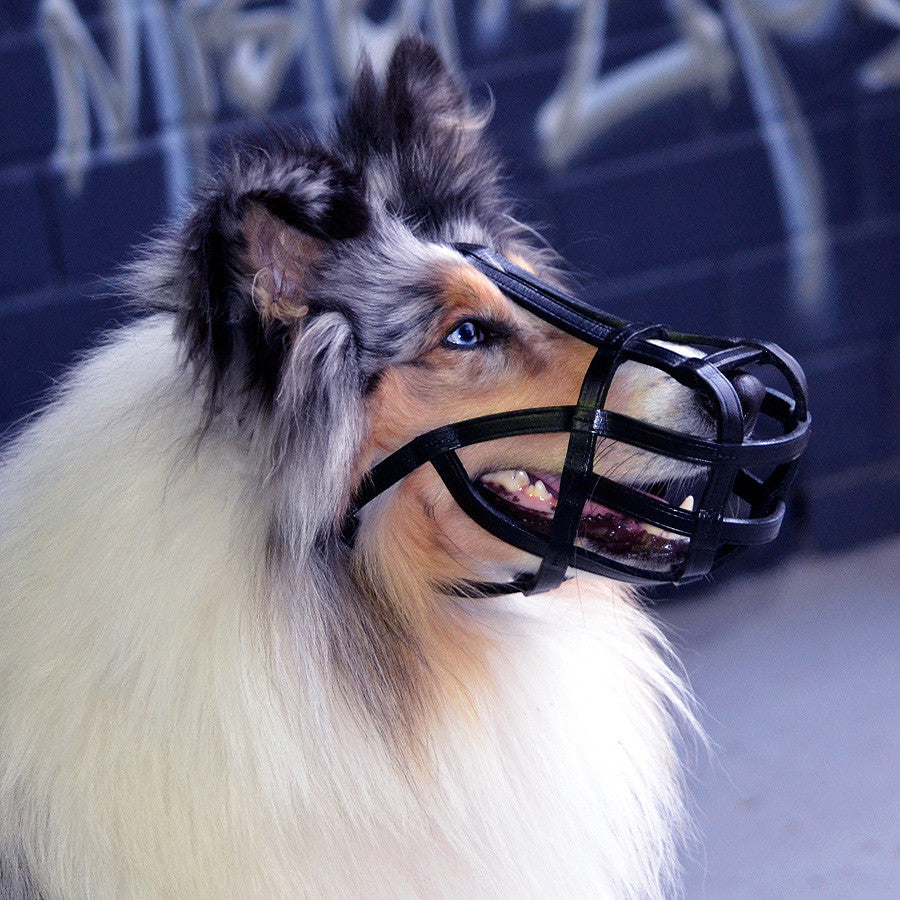 Muzzle - Leather Basket