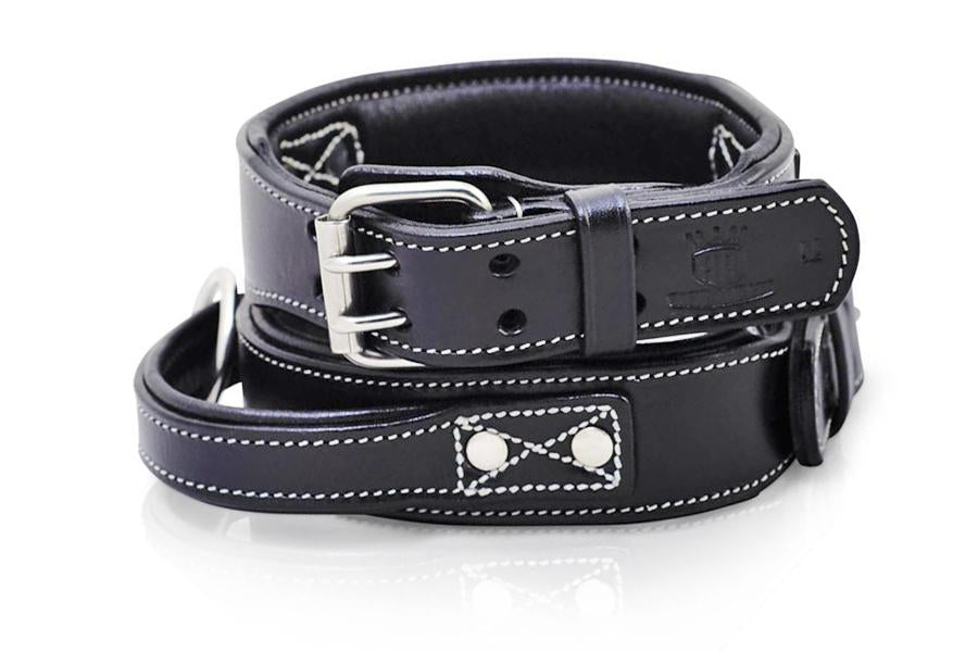 Dog Collar - Leather Handle Collar