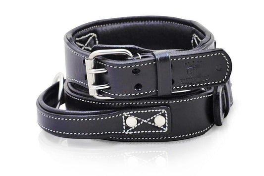 Dog Collar - Leather Handle Collar