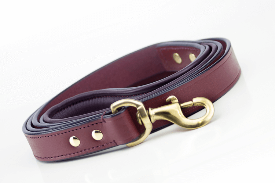 Leather Dog Leash - Cherry & Brass