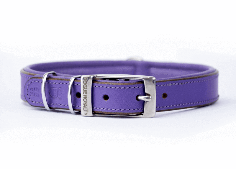 Leather Dog Collar - Classic Purple Slimfit
