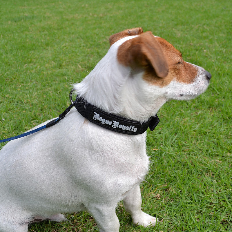 Dog Collar - SupaTuff Slimline