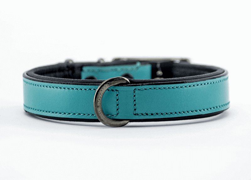 Leather Dog Collar - Classic Teal Slimfit
