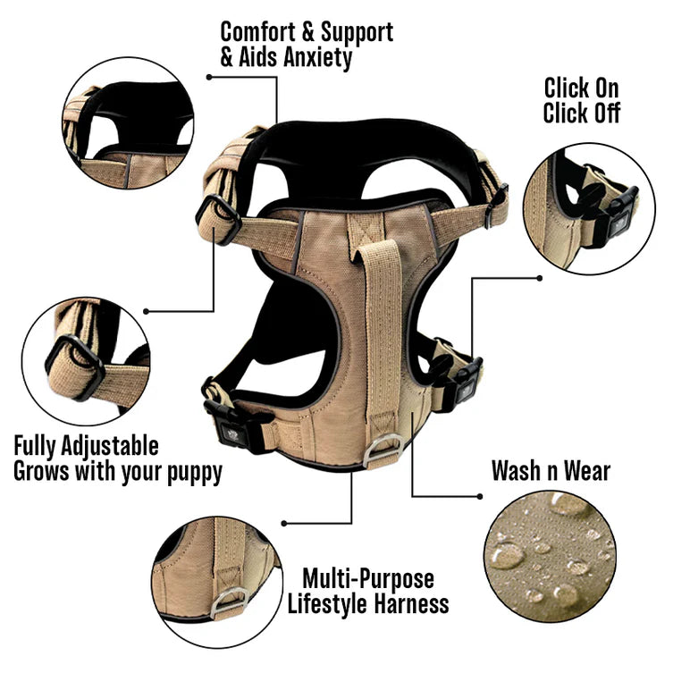 Active-X Dog Harness Sahara
