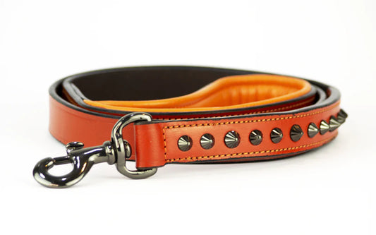 Dog Leash - Ruthless ORANGE & Black Leash
