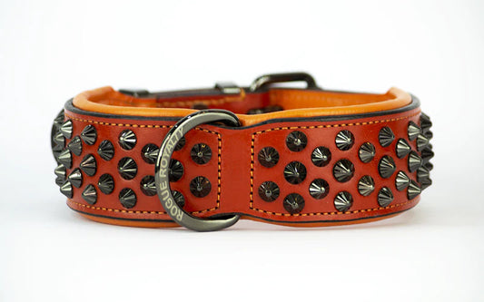 DOG COLLAR - RUTHLESS ORANGE &amp; BLACK
