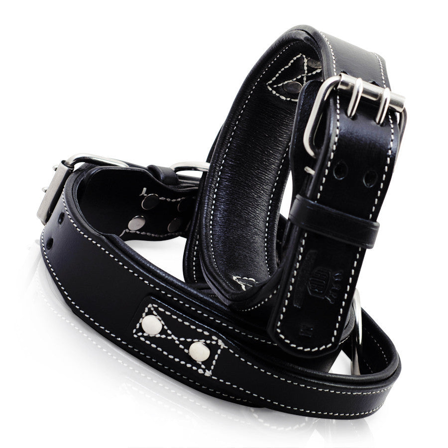 Professional strong dog training handle collar