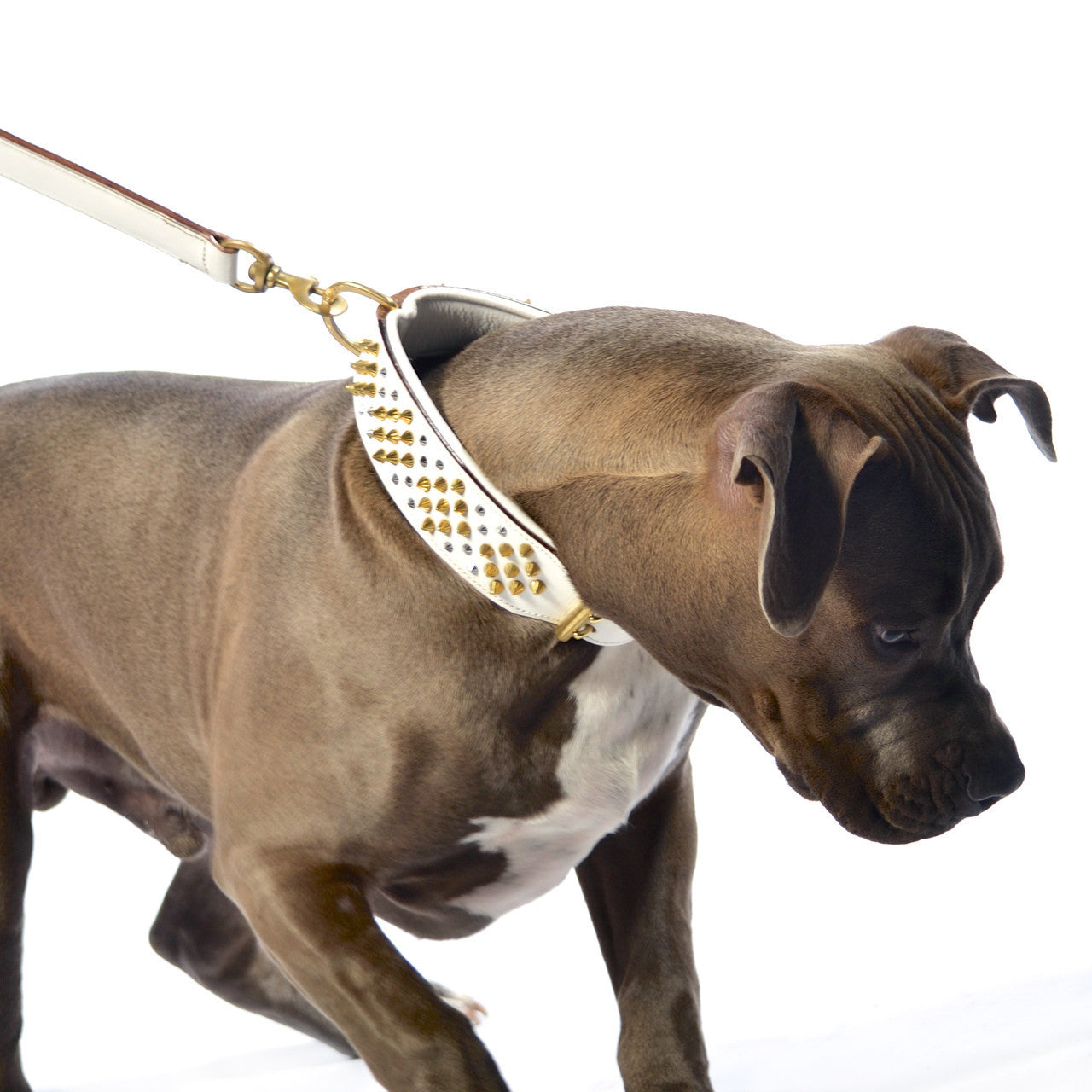 Dog Collar - ROGUE | ICED OUT