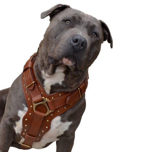 Dog Harness - Leather "Attila" Brown/Brass