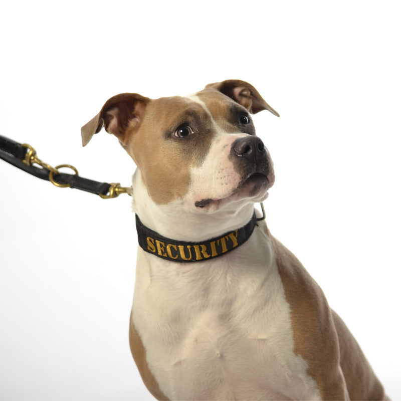Dog Collar - SupaTuff "SECURITY" Slimline