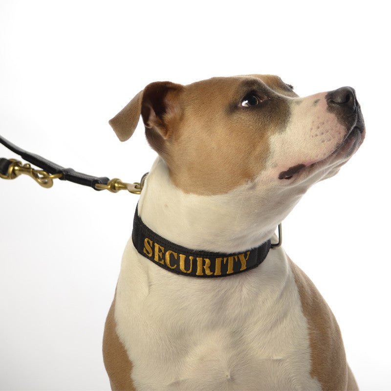Dog Collar - SupaTuff "SECURITY" Slimline