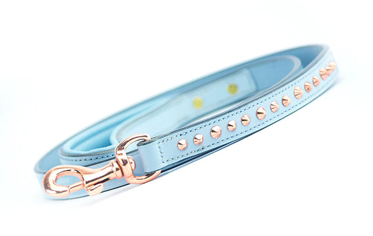 Dog Leash - Imperial Baby Blue Rose Gold