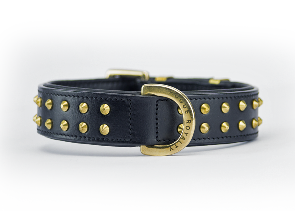 Ruffneck Regular fit Dog Collar Black Brass Rogue Royalty