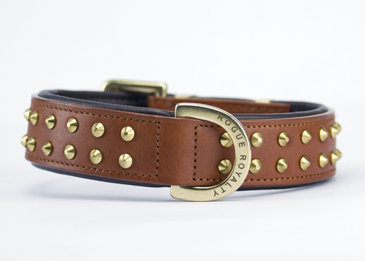 Ruffneck Regular fit Dog Collar- Brown / Brass