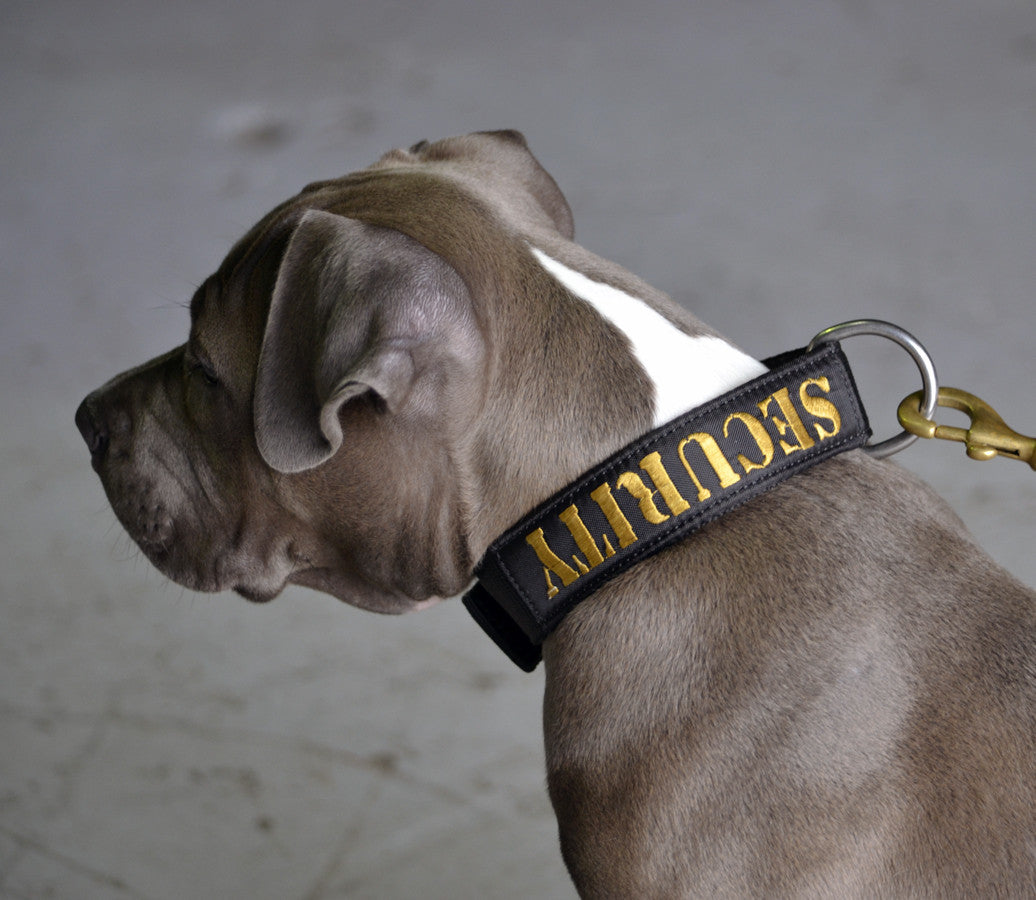 Dog Collar - SupaTuff "SECURITY" Slimline
