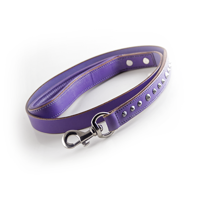 Leather collar shop and leash set