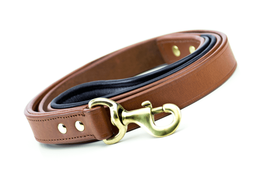 Leather Dog Leash - Brown & Brass