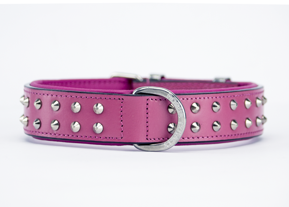 Dog collar pink deals