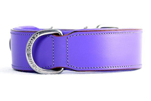 Leather Dog Collar - Classic Purple