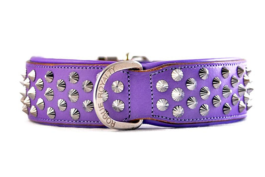 Dog Collar - Imperial Purple (Diamond Cone Studs)