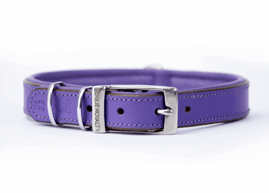 Leather Dog Collar - Classic Purple Slimfit