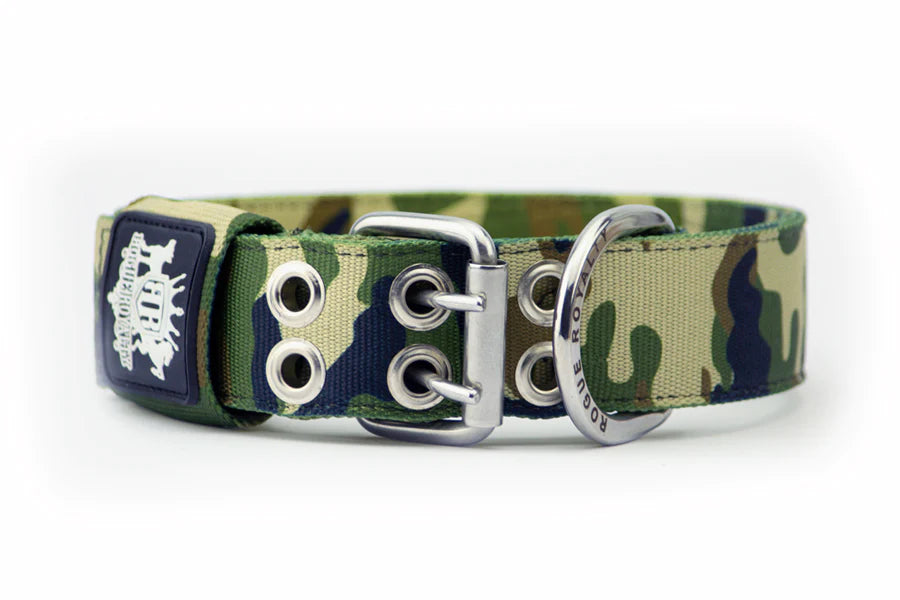 Dog online collar green