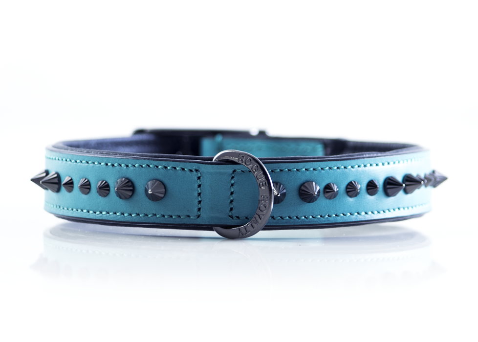 Dark teal dog collar shop