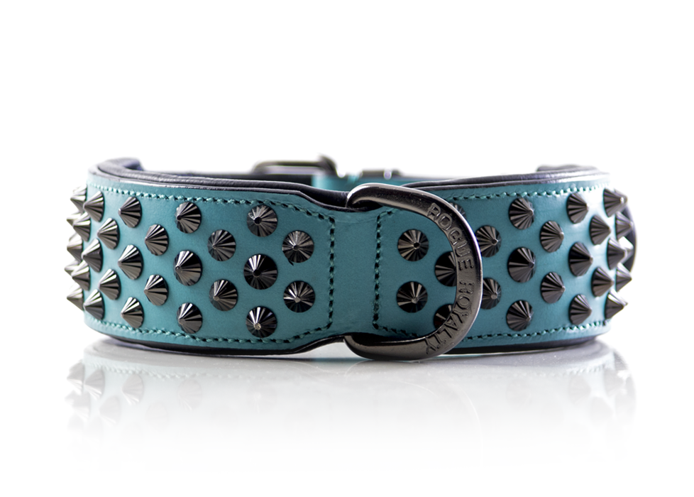 Turquoise studded shop dog collar