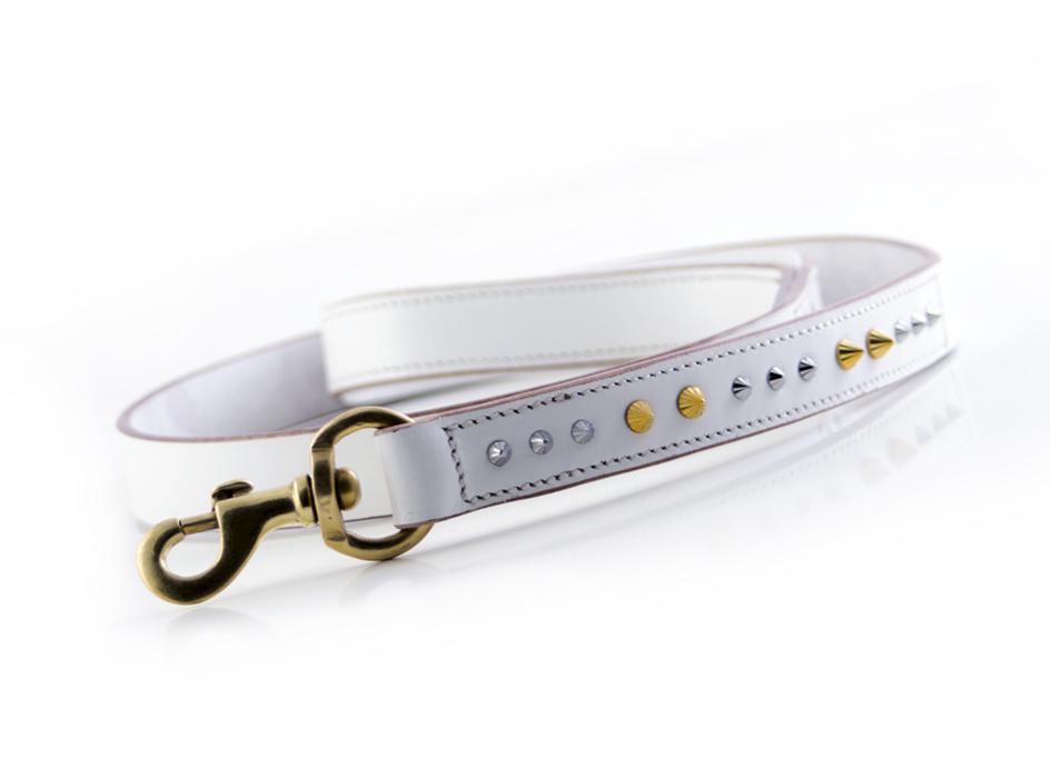 Leather dog collar and leash clearance set